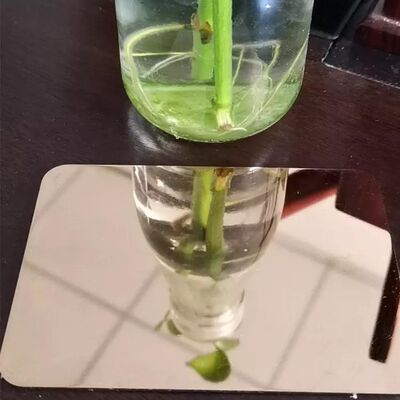 Αγορά Ζεστό τυλιγμένο φύλλο από ανοξείδωτο χάλυβα 316 για τρύπηση τοίχου με επιφάνεια BA 2B 8K HL διαδικτυακή κατασκευή